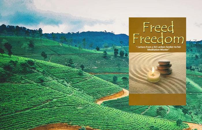 Featured image for “Freed Freedom”